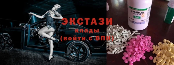 индика Алексин