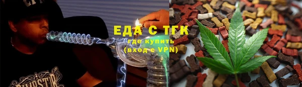 индика Алексин