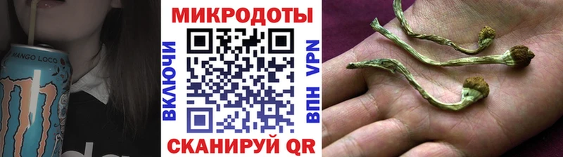 Галлюциногенные грибы MAGIC MUSHROOMS  Черногорск 