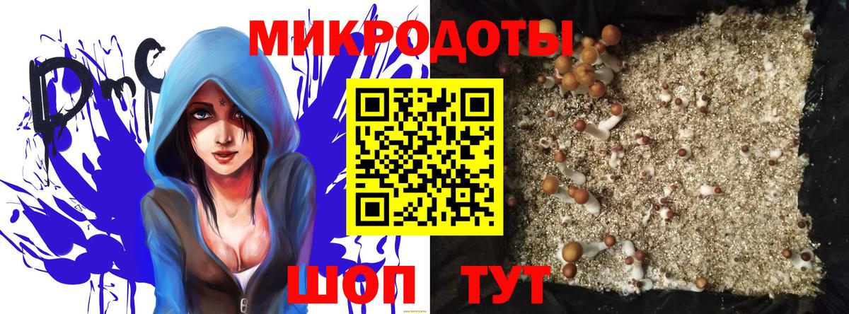 Псилоцибиновые грибы мухоморы Черногорск