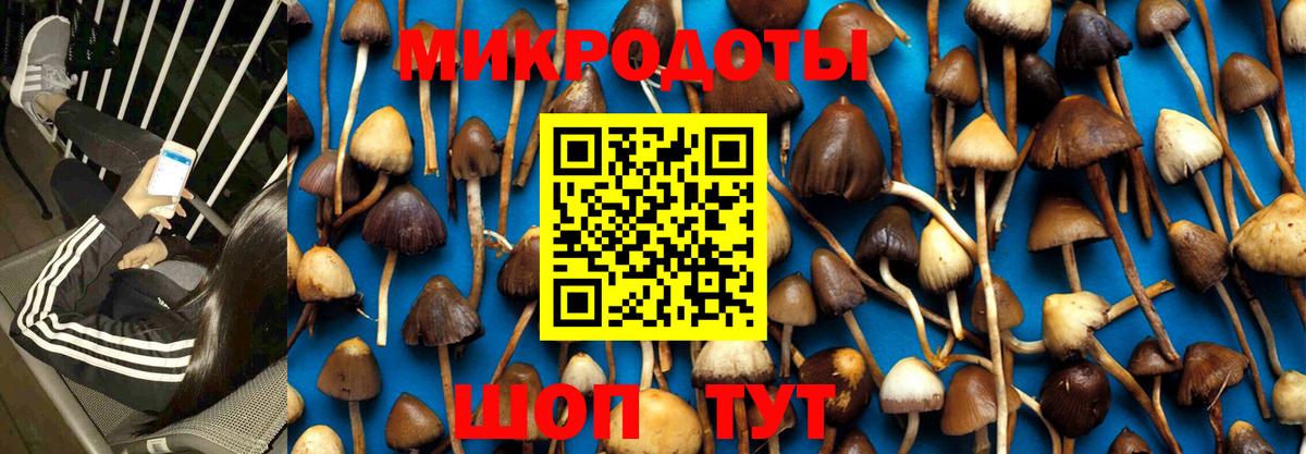 Галлюциногенные грибы MAGIC MUSHROOMS  Галлюциногенные грибы мицелий  Черногорск  Вход с VPN 