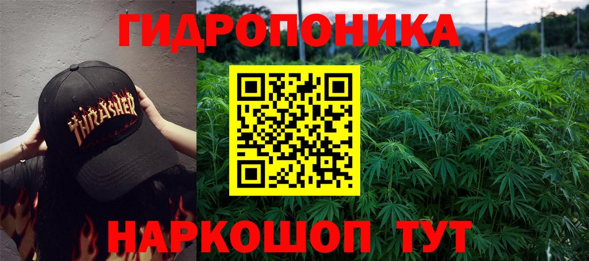 Бошки марихуана марихуана  Вход с VPN  Каннабис план  Бошки Шишки Amnesia  Черногорск 